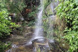 Cachoeira do Pinga